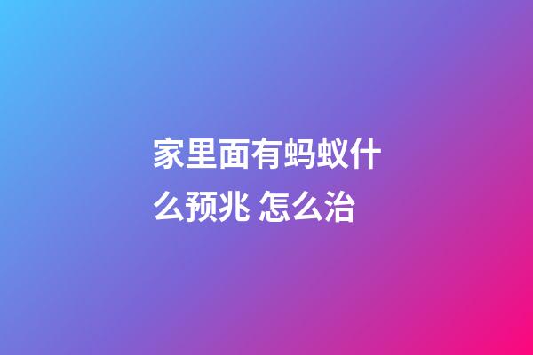 家里面有蚂蚁什么预兆 怎么治